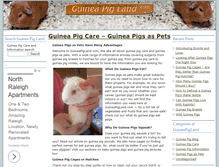 Tablet Screenshot of guineapigland.com